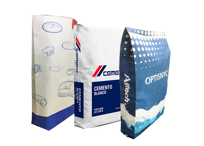 Таможня 3 угля курсирует мешки Kraft бумажные biodegradable 25kg