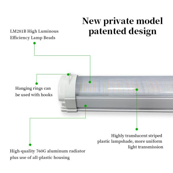 Customized LED Grow Lights 4Ft 120W 150W Plant Growing LED Light