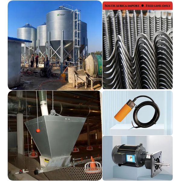 Customized Corrosion Resistant Poultry Farm Ventilation System with Hot-Dip Galvanized Steel and Easy Assembly