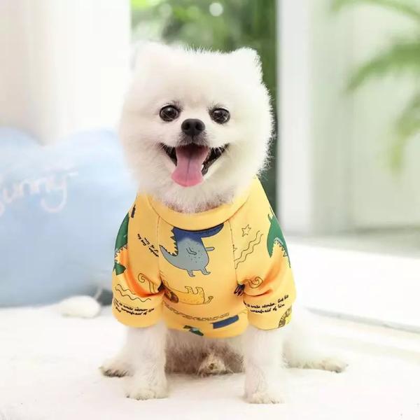 Spring Autumn Winter Cartoon Pet Apparels Sustainable XS S M Size