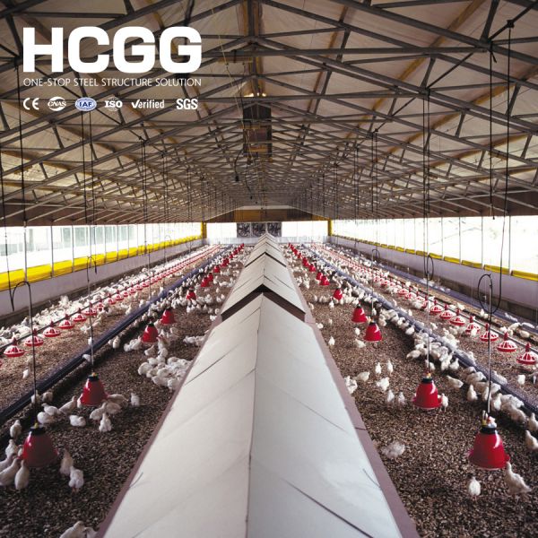 Customizable Size Steel Framed Poultry house Agricultural Buildings Rapid Install Anti Earthquake