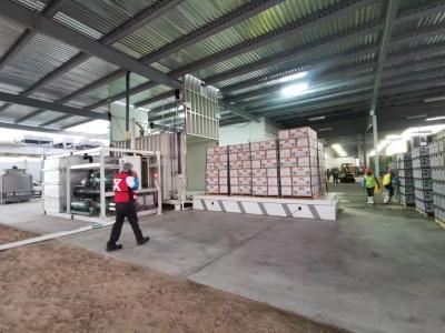 Fresh vegetable/mushrooms/flowers vacuum cooling machine(1-24pallets)