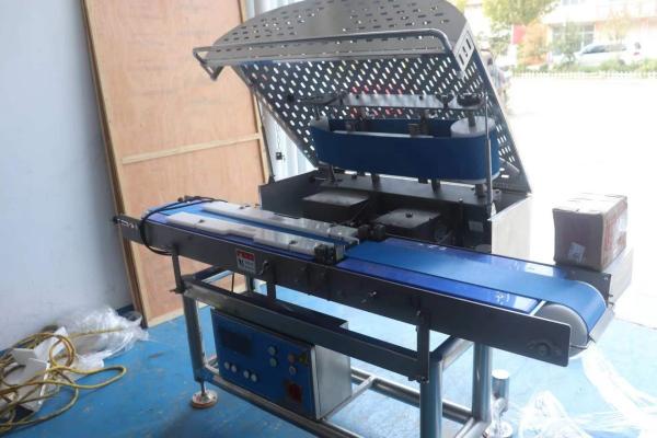 Industrial Cube Meat Dicing Machine Adjustable Cutting Size For Meat Processing