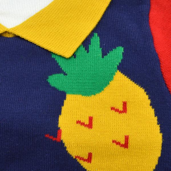 Картина ананаса Bespoke свитеры поворачивает вниз пуловер осени детей воротника