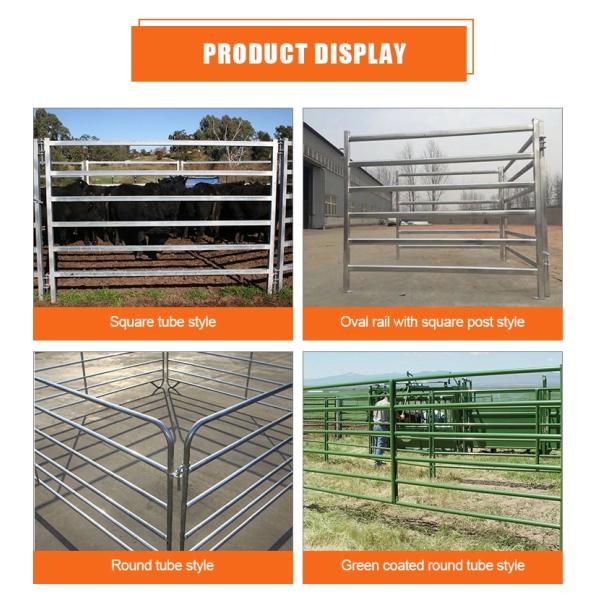 Livestock Galvanized 1650mm Horse Corral Fencing