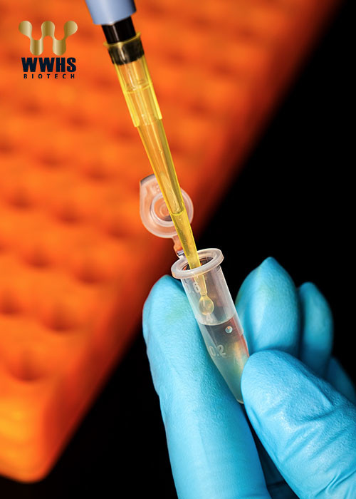 Тест Estradiol (E2) быстрый количественный (Immunoassay флуоресцирования) Wwhs
