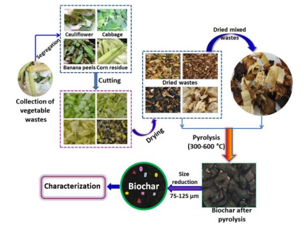 Pyrolysis thermal Biochar Production Line