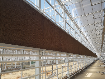 Cultivation de champignons en polycarbonate dans des serres