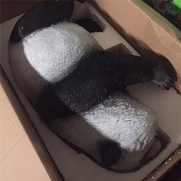 H80cm Life Size Fiberglass Panda Statue For Hotel Decoration