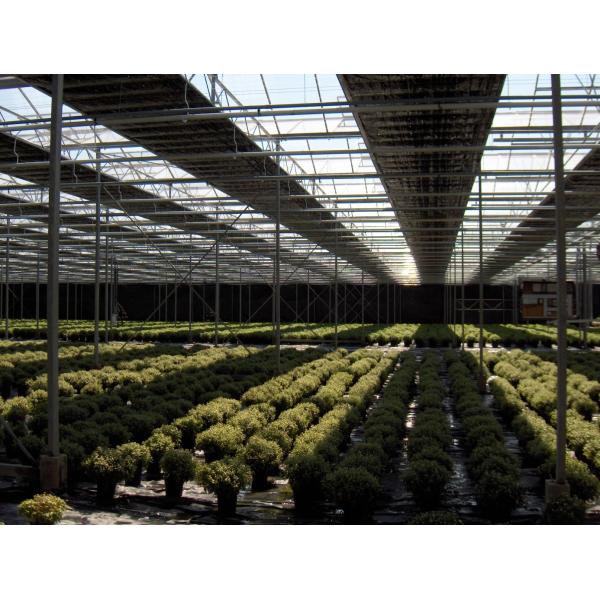 Коммерчески автоматизированный парник светомаскировки/светлый парник лишения