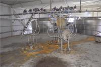 Dessiccateur de jet continu pharmaceutique de 10000kg Anhydro