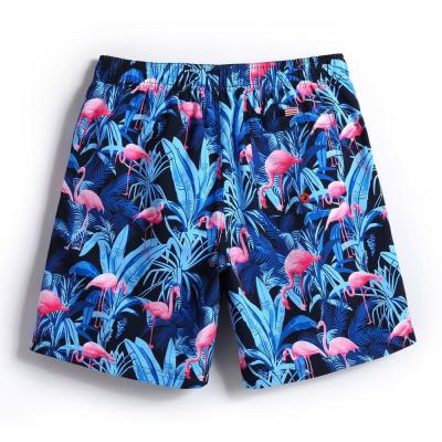 Quick Dry Mesh Cover Up Shorts , Mens Beach Swim Trunks Plus Size Waterproof