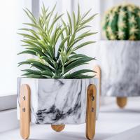 Vasos decorativos da tabela do cimento dos potenciômetros da planta das plantas carnudas dos artigos de Homewares dos potenciômetros de flor do cacto da cor verde