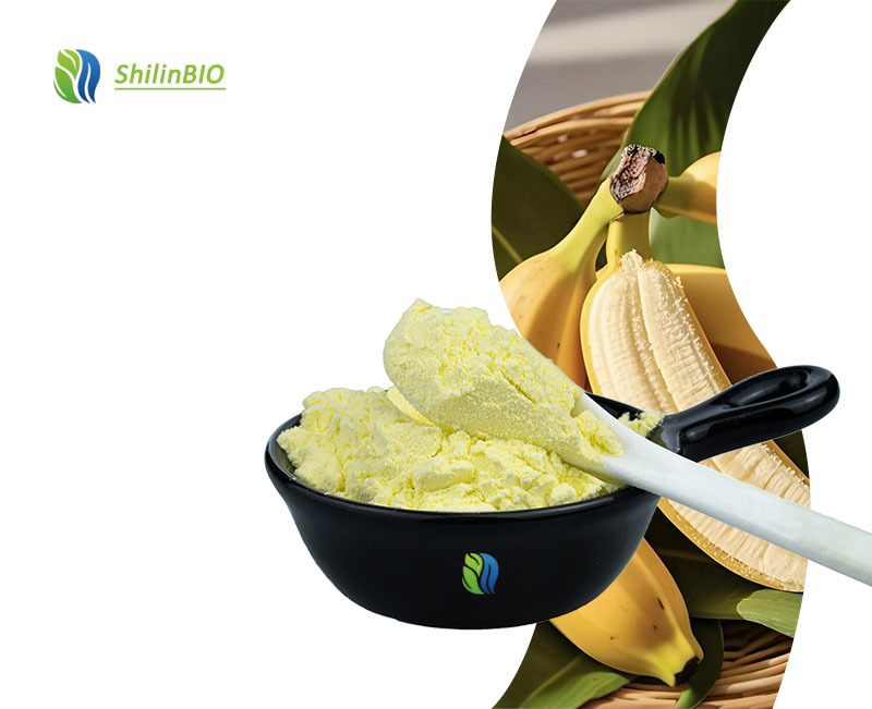 SLBIO Factory Supply High Quality Banana Fruit Powder Food Grade Herbal Extract with Bottle & Drum Packaging