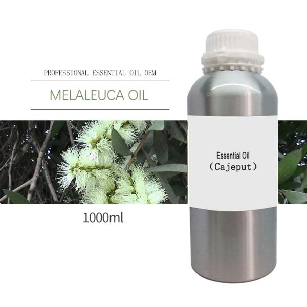 Organic Cajeput Massage Essential Oils 5ml JIANFENG MSDS Treatment Grade