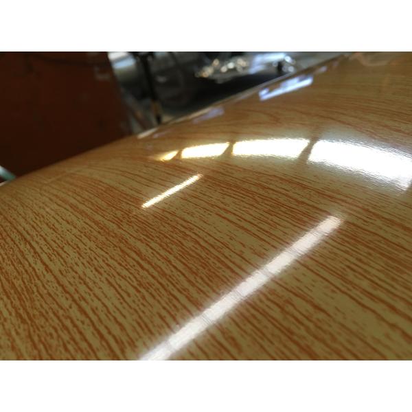 используемая домом красивая катушка картин цветка препайнтед стальная для контейнера полиэтилена украшения