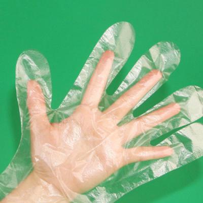 Thick  Eco Friendly Disposable Gloves , Disposable Transparent Gloves For Household Use