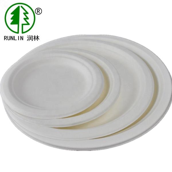 9in 12in Biodegradable Bagasse Eco Friendly Dishes Disposable Dishes For Parties