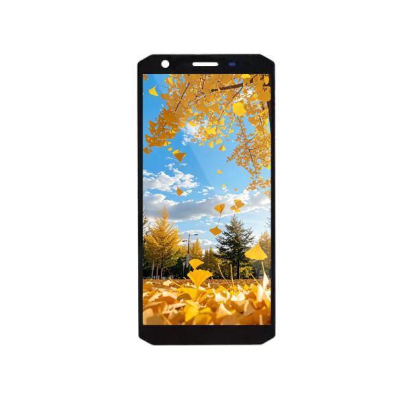 5.45 Inch TFT LCD Display Module 720x1440 MIPI Interface