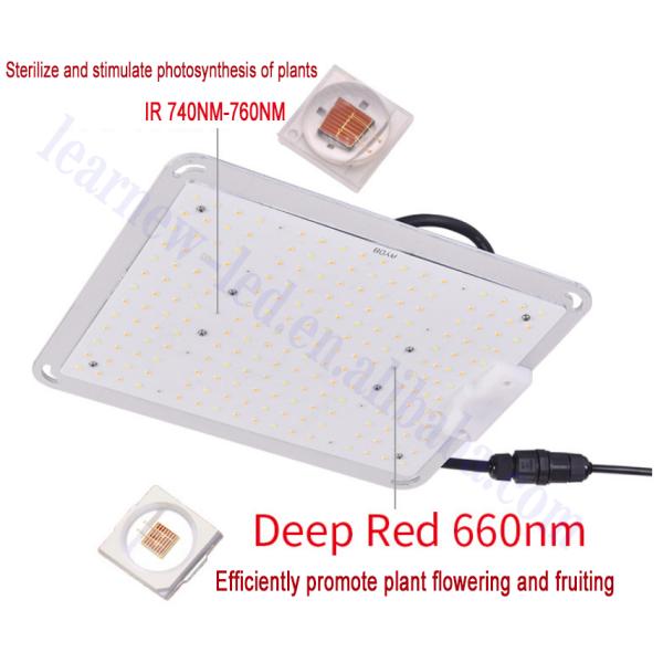 3030 SMD LED Chip 660nm Red 0.5W 1W for Plant Grow Lights