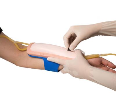 Medical Training PVC Vein Puncture Pad Nursing Manikin
