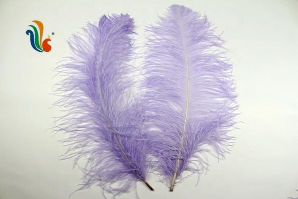 Várias Cores Millinery Penas de avestruz Penas de pluma 50-55cm Para decoração de chapéu