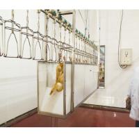 Accessoires de transformation de poulets pour équipements d'abattage économes en énergie