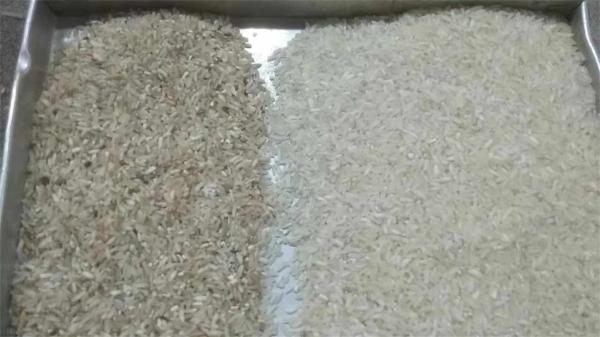 10 Chutes CCD Rice Color Sorter 5.0 M3/MIN Air Consumption Rapid 10