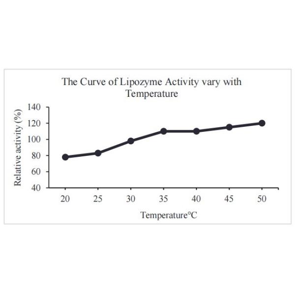 Feed Additive Lipase Powder 50,000 U/G-300,000U/G