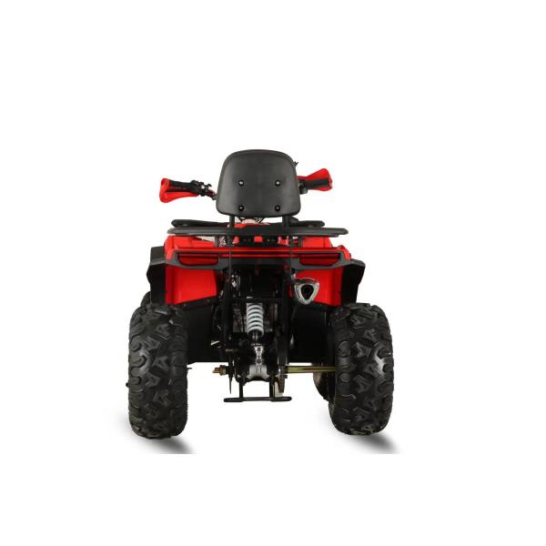 Four-wheel Drive Adult 200cc 250CC Automatic Motorcycle ATV with High Voltage 12V