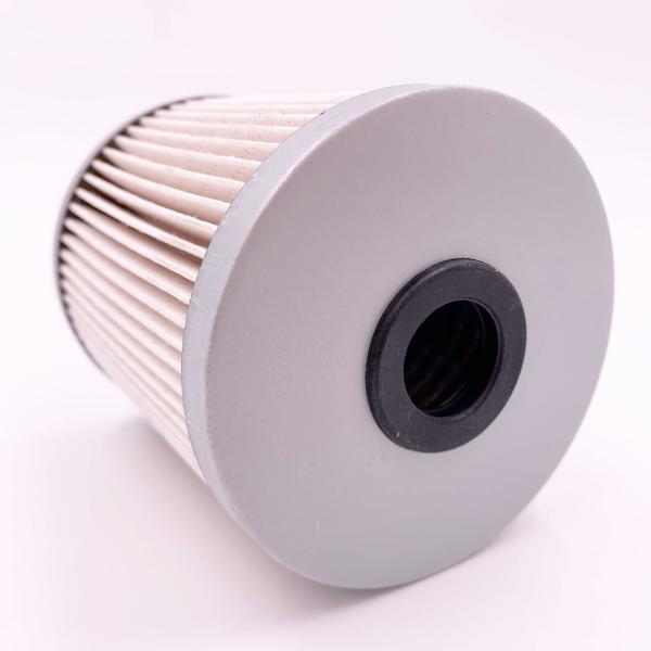 Field of Application Fuel Water Separation Filter Element FS19855 for Fuel Filtration