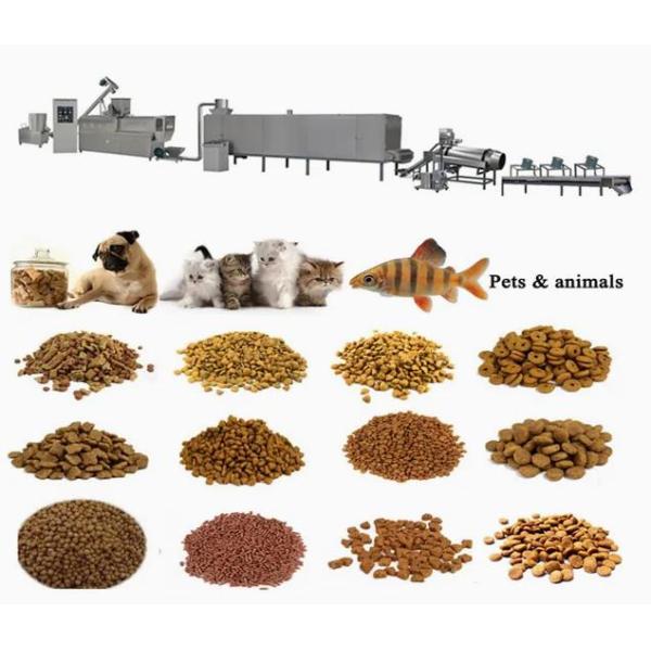 DGP 65 Máquina automática de extrusión de alimentos para perros de acero inoxidable / Línea de procesamiento de alimentos secos para mascotas