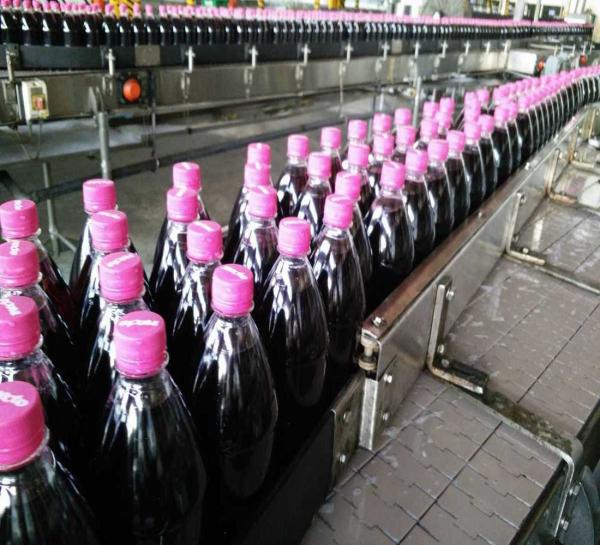 CGF14/12/5 4000BPH PET Bottle Filling Machine rinsing filling capping monobloc bottling stainless steel