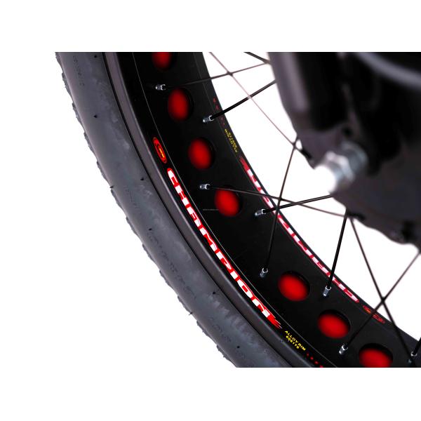 Lightweight Aluminum Frame Electric Tricycle 48V 750W 21AH 50KM/H for Adult Passenger