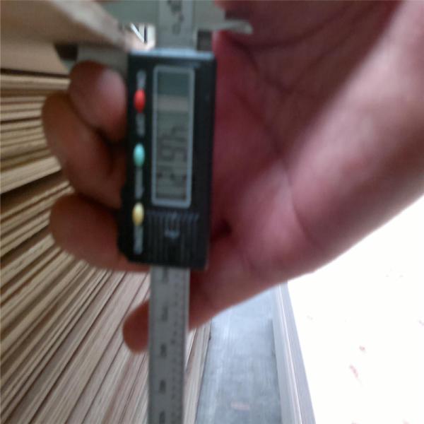 Bintangor Wood WBP Glue 1220*1220mm Laminated Ply