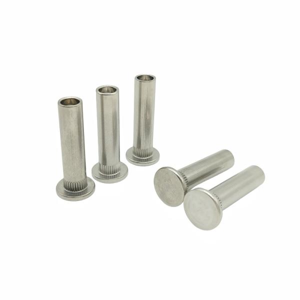 Stainless Steel Rivets Semi-Hollow Rivets Various Specifications Manufacturers Support Customization