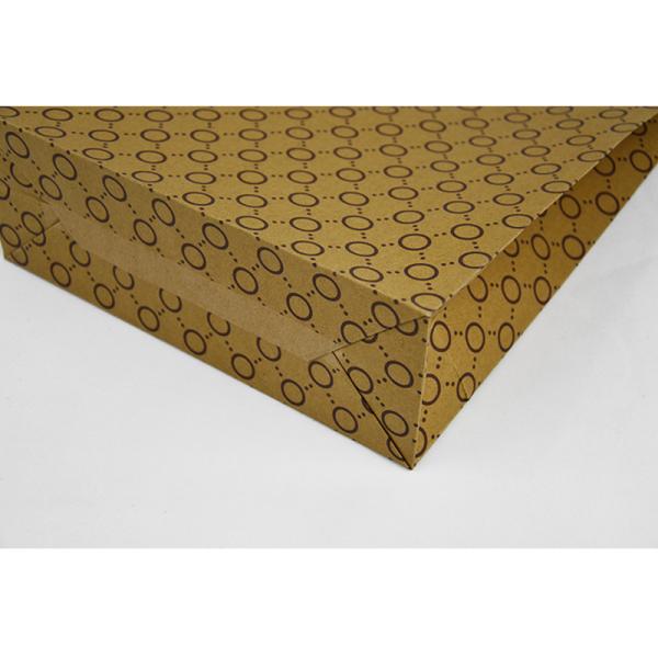 5Kg Weight Capacity Kraft Shopping Paper Bags  Eco Friendly Packaging Recycled