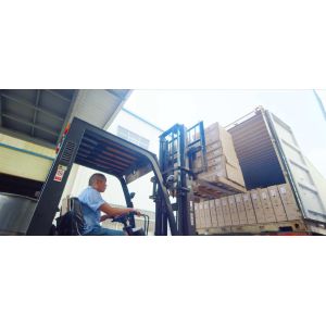Guangdong Xin Tongshi Group Co., Ltd.