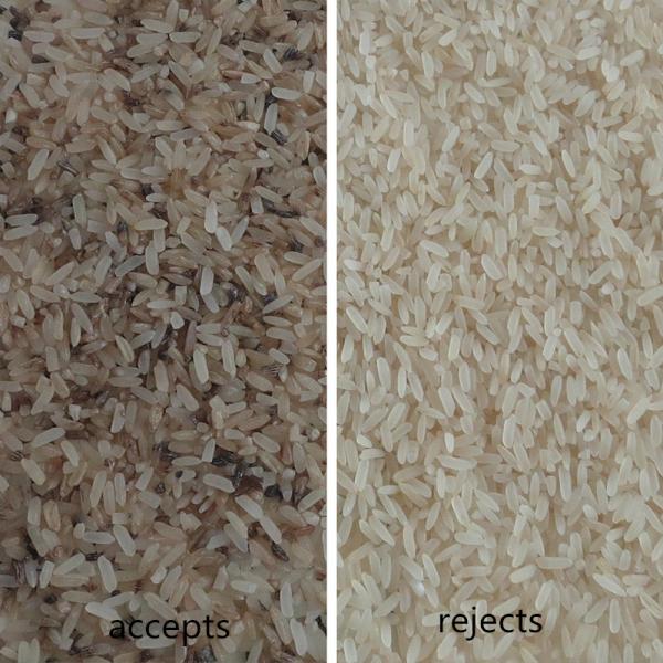 Цена машины сортировщицы цвета риса Брауна емкости чемпиона мини для завода мельницы риса