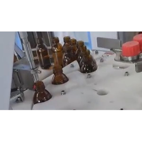 Automatic Amber Glass Bottle Capping Machine with Servo Torque Control and High-Speed Bottle Packaging System