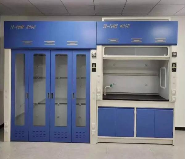 220V Laboratory Fume Hood Steel Glass Window Fume Cupboard Chemistry 300kg