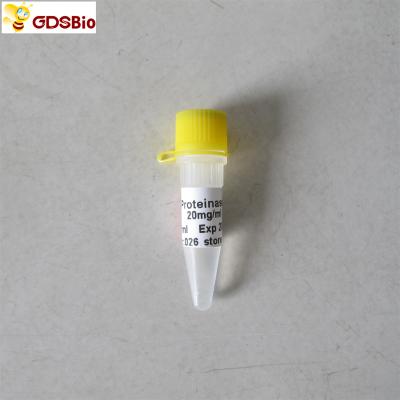 Molecular Biology Grade Proteinase K Solution N9012