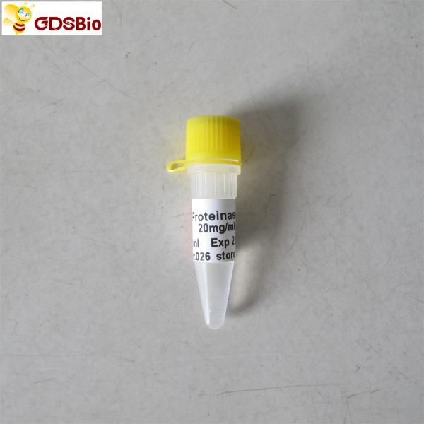Molecular Biology Grade Proteinase K Solution N9012