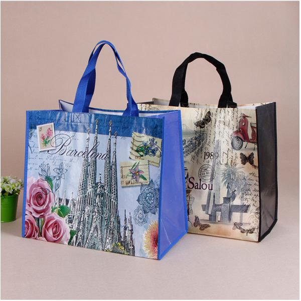 Non-Woven Tote Bag with Custom Logo Printing Accepable OEM/ODM Pp Woven Shopping Bag
