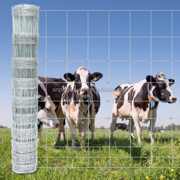 Metal Type Iron Veld Span Fence and Field Fence Wire Hot Dipped Galvanized for Sqaure