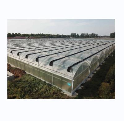 Estufa comercial de película multi-espansão com sistema de sombra solar externo e largura de baía de 4 m