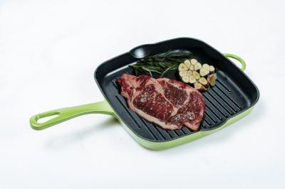 9 polegadas Duracast esmaltaram a grade Pan With Long Handle do ferro fundido