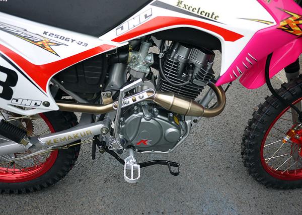 Pink Color Lady Trail Bike Motorcycle 106KG Net Weight Electric / Kick Start