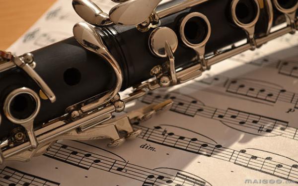 Accept OEM Cheap Bb 17 White Plastic Body Nickel Keys Clarinet JYCL301WH constansa company  Professional Performance Lev