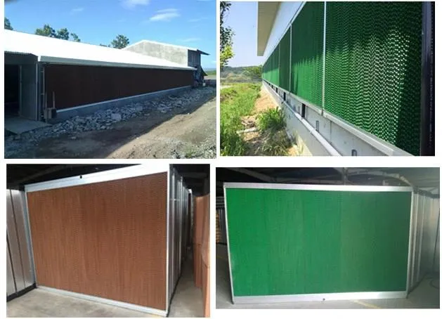 256 Unit Capacity Automatic Poultry Farming Equipment with Hot-DIP Galvanized Steel and Automatic Feeding System